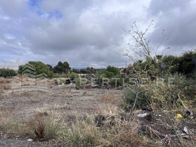 Terreno in vendita a Motta Sant'anastasia, Sicilia