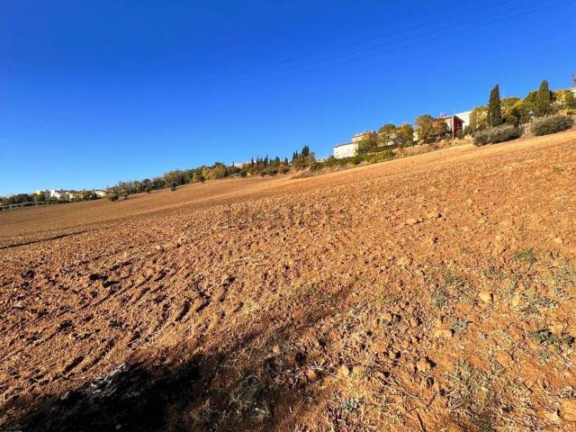 Terreno in vendita a San Lorenzo, Monte Urano