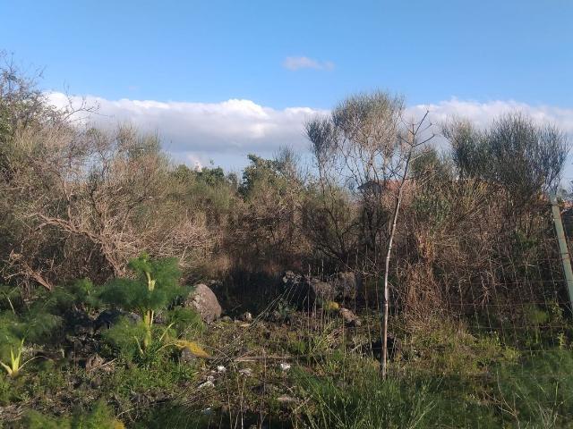 Terreno in vendita a Massannunziata, Mascalucia