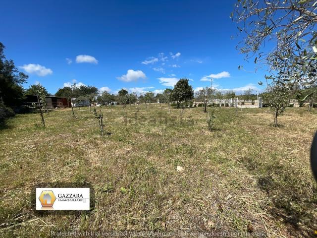 Terreno in vendita a Noto, Siracusa