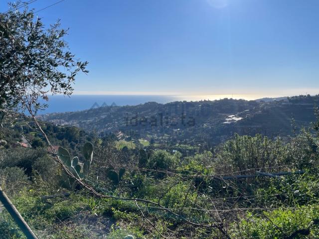 Terreno in vendita a Suseneo, San Remo