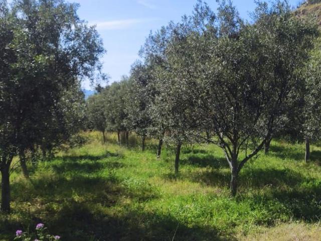Terreno in vendita a San Leo, Calabria