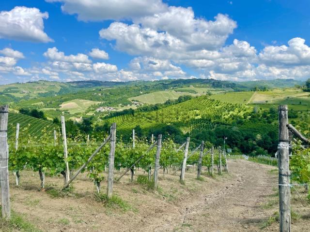 Terreno in vendita a Piemonte, Cuneo