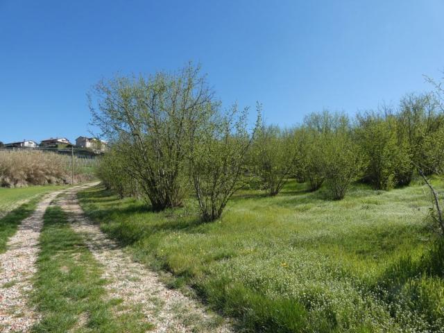 Terreno in vendita a Piemonte, Cuneo
