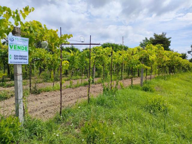 Terreno in vendita a Telese Terme, Campania