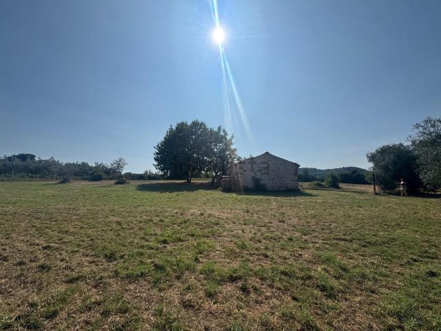 Terreno in vendita a Marta, Lazio