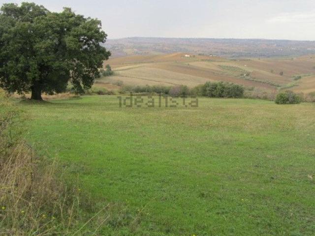 Terreno in vendita a Guglionesi, Molise