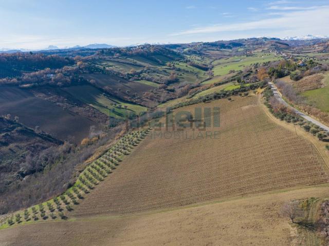 Terreno in vendita a Marche, Fermo
