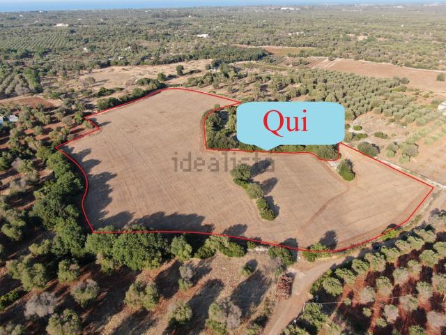 Terreno in vendita a Puglia, Brindisi