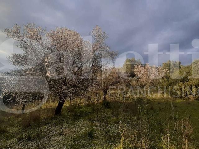 Terreno in vendita a Santu 'Asili 'e Monti/San Basilio, Casteddu/Cagliari