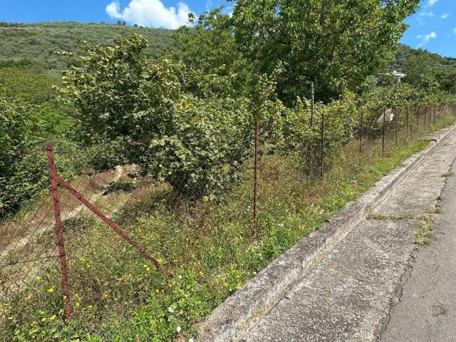 Terreno in vendita a Marzano Di Nola, Campania