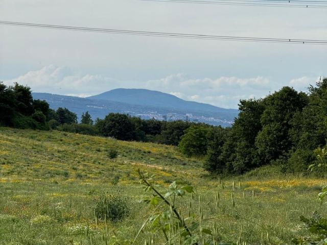 Terreno in vendita a Monterosi, Lazio