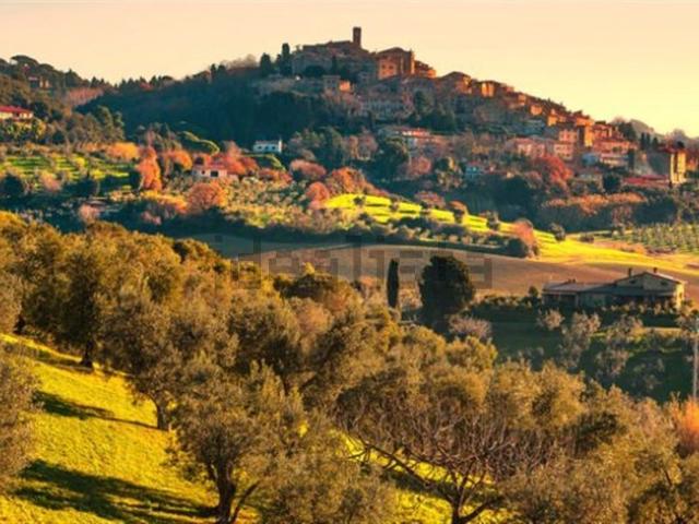Terreno in vendita a Capalbio, Grosseto