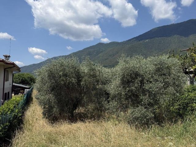 Terreno in vendita a Crespano Del Grappa, Veneto