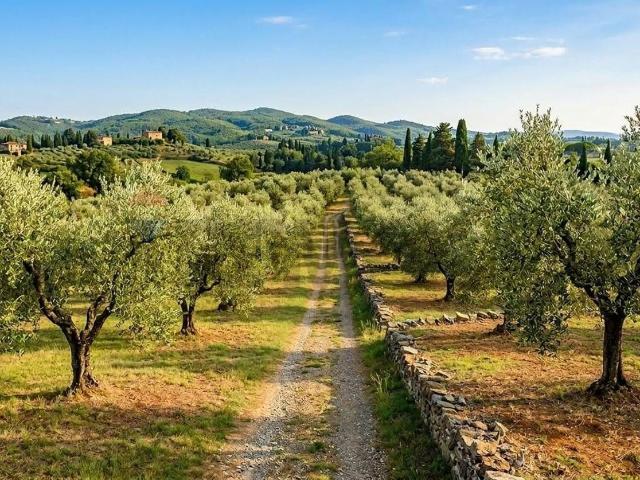 Terreno in vendita a Pian di Scò, Castelfranco Piandiscò