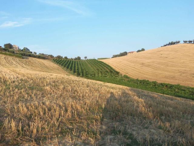 Terreno in vendita a Marche, Ascoli Piceno