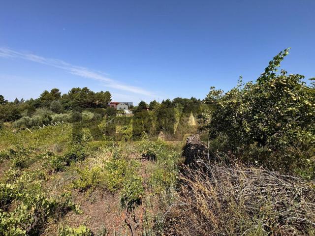 Terreno in vendita a Santa Maria di Licodia, Catania