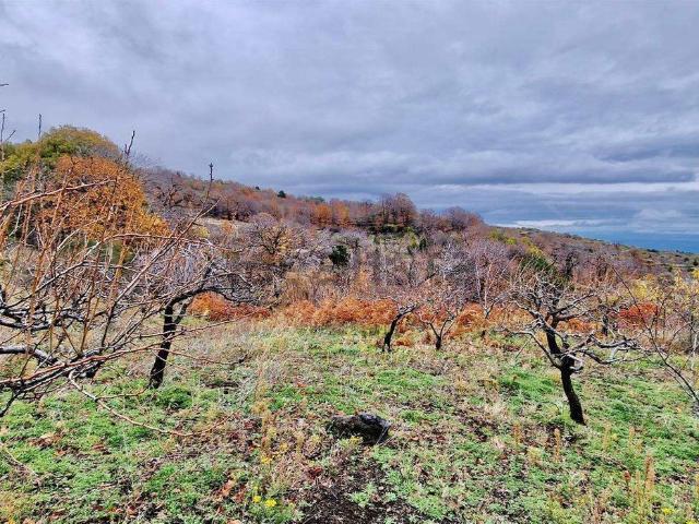 Terreno in vendita a Biancavilla, Sicilia