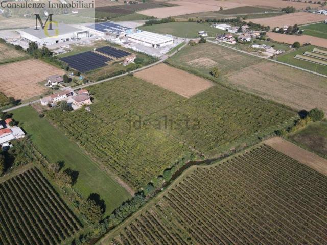 Terreno in vendita a Zimella, Veneto