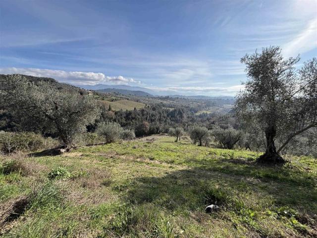 Terreno in vendita a Montebuono, Lazio