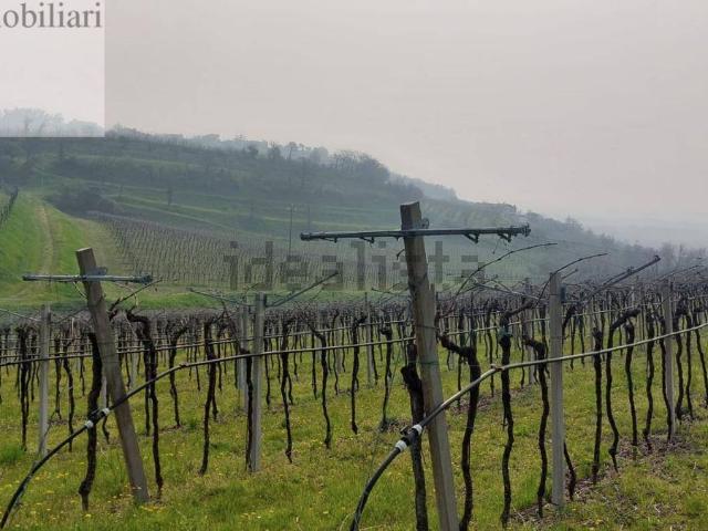 Terreno in vendita a Villa, Colognola Ai Colli