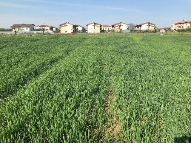 Terreno in vendita a San Lorenzo, Castelnuovo Del Garda