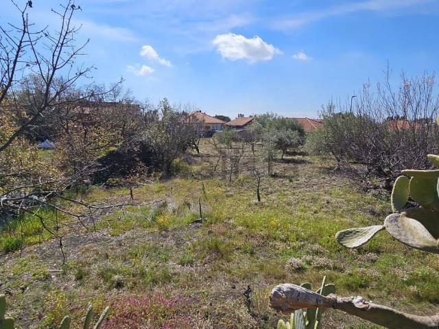 Terreno in vendita a Pedara, Sicilia