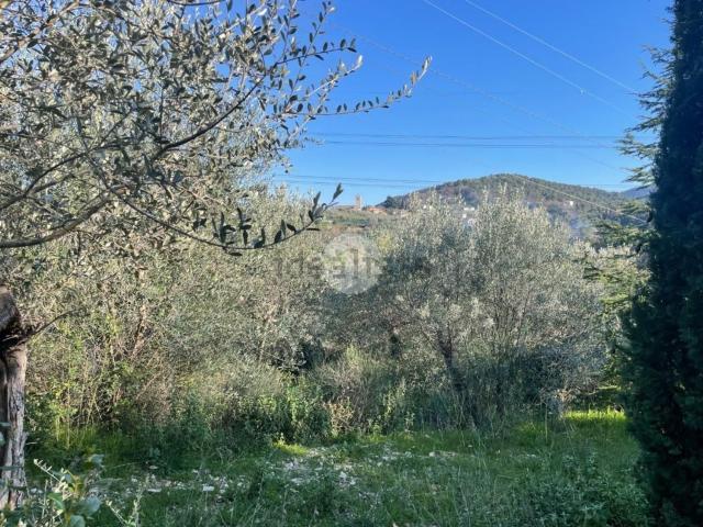 Terreno in vendita a Terni, Umbria