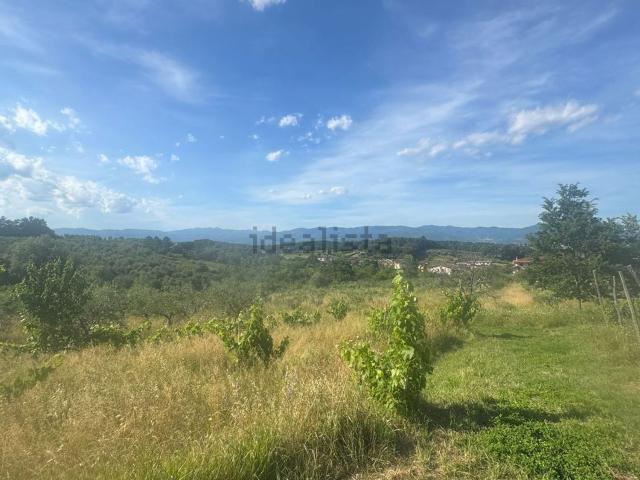 Terreno in vendita a Quarrata