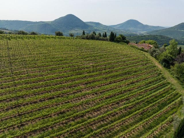 Terreno in vendita a Valnogaredo, Padova
