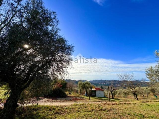 Terreno in vendita a Cantalupo In Sabina, Lazio