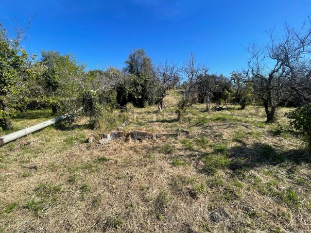 Terreno in vendita a San Giovanni Bosco, Acireale