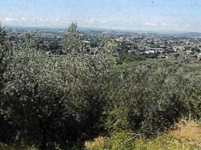 Terreno in vendita a Lamporecchio, Toscana