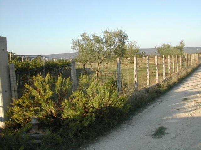 Terreno in vendita a Puglia, Taranto