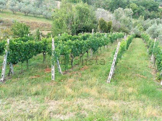 Terreno in vendita a San Gemini, Umbria