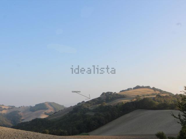 Terreno in vendita a Colli al Metauro, Marche