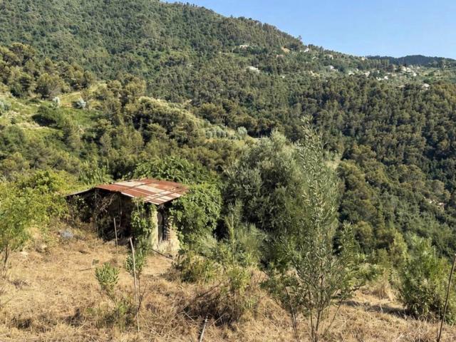 Terreno in vendita a Perinaldo, Liguria