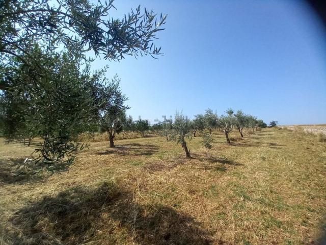 Terreno in vendita a Rosolini, Siracusa
