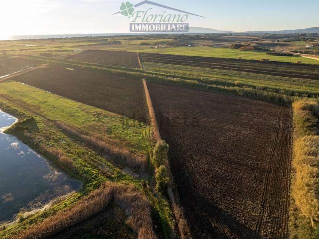 Terreno in vendita a Montalto di Castro, Viterbo