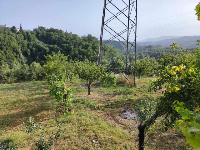 Terreno in vendita a Calabria, Cosenza