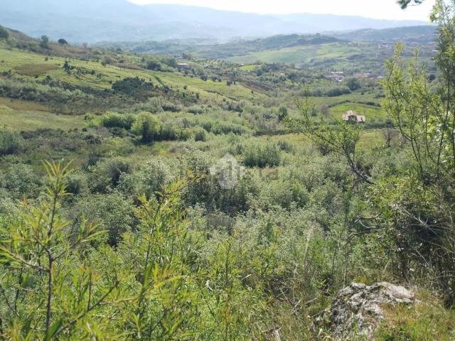 Terreno in vendita a Calabria, Cosenza