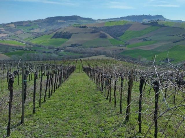 Terreno in vendita a Marche, Ascoli Piceno