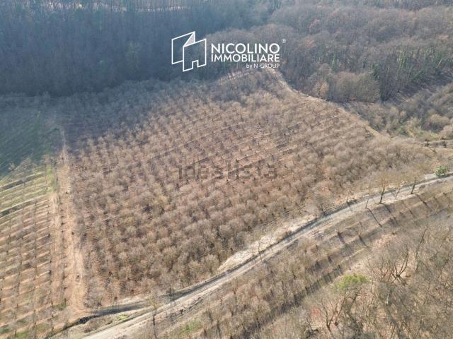 Terreno in vendita a Piemonte, Cuneo