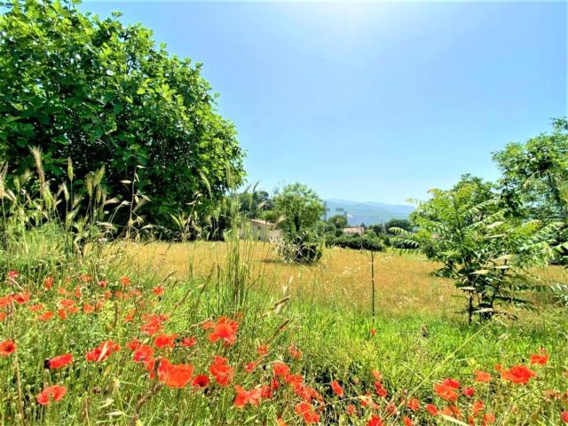 Terreno in vendita a Cittaducale, Lazio