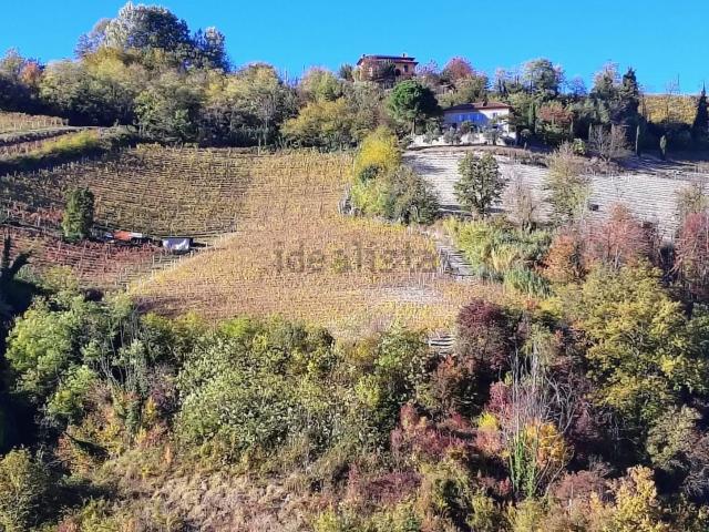 Terreno in vendita a Piemonte, Cuneo
