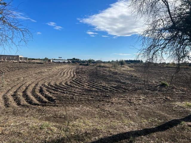 Terreno in vendita a Siracusa, Sicilia