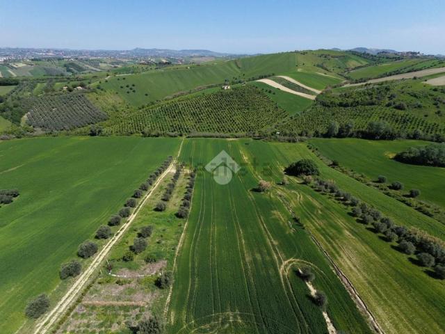 Terreno in vendita a Collerenti, Bellante