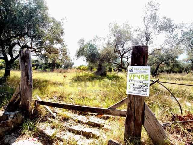 Terreno in vendita a Telese Terme, Benevento