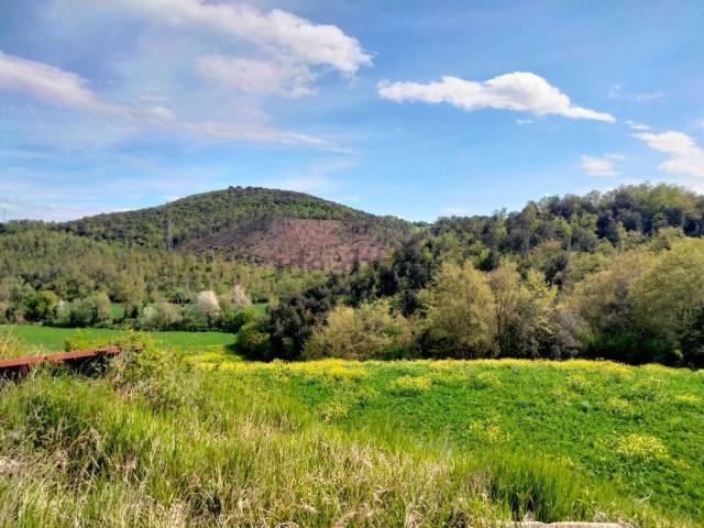 Terreno in vendita a Amelia, Umbria