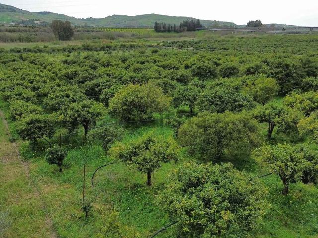 Terreno in vendita a Ribera, Sicilia